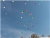 Balloons Released 4