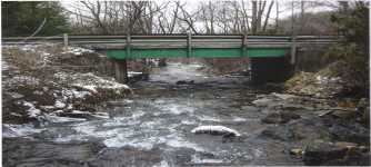 Trout Farm Bridge