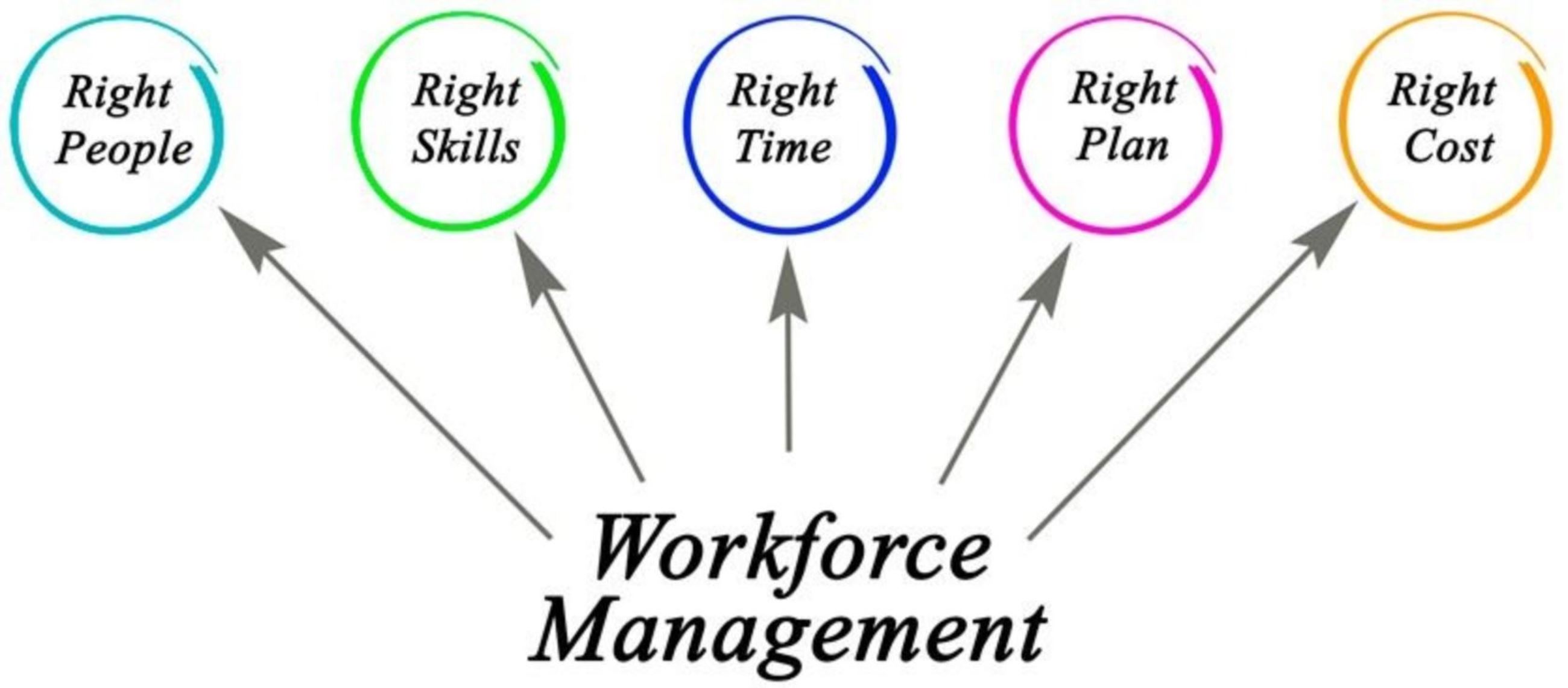 Diagram of Workforce Management, which includes having the right people, with the right skills, at t