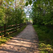 Photograph of Sheepskin Trail