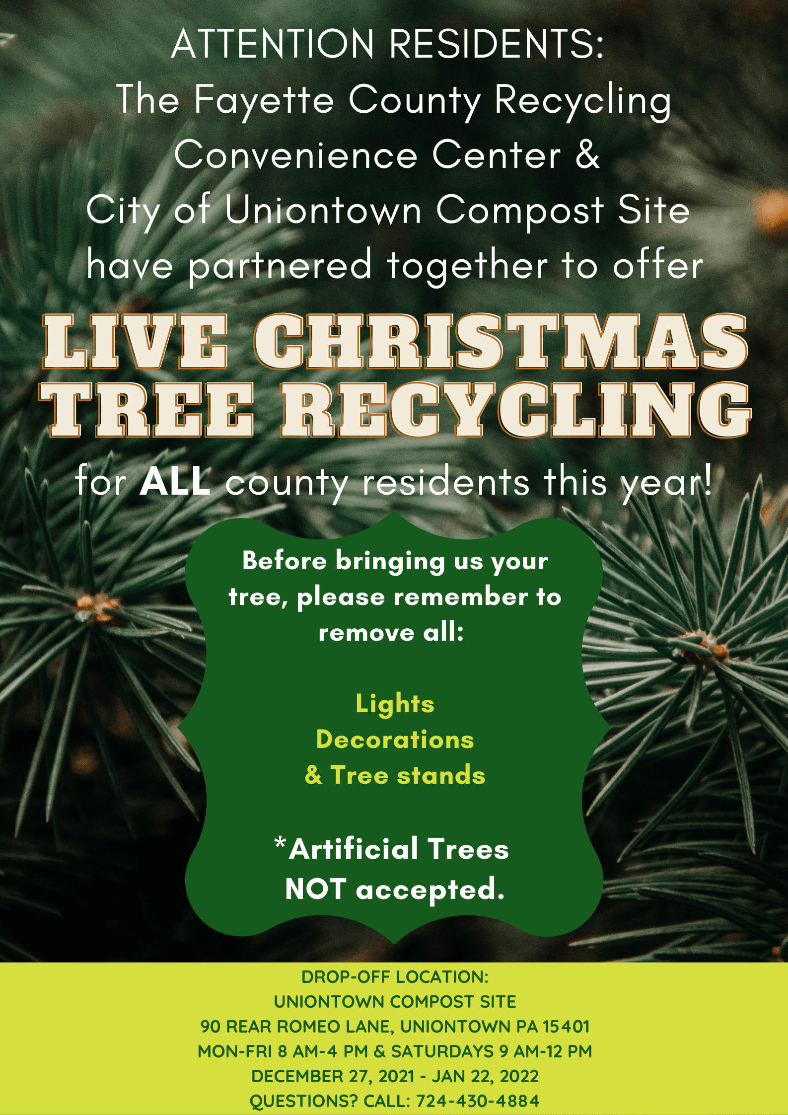 Christmas tree flyer