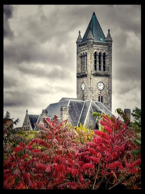 Courthouse-Fall