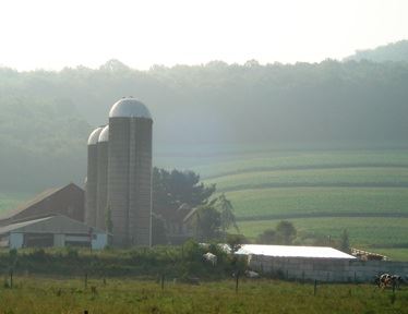 Farm by a Foggy Field
