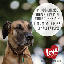 HELP LICENSE YOUR DOG 