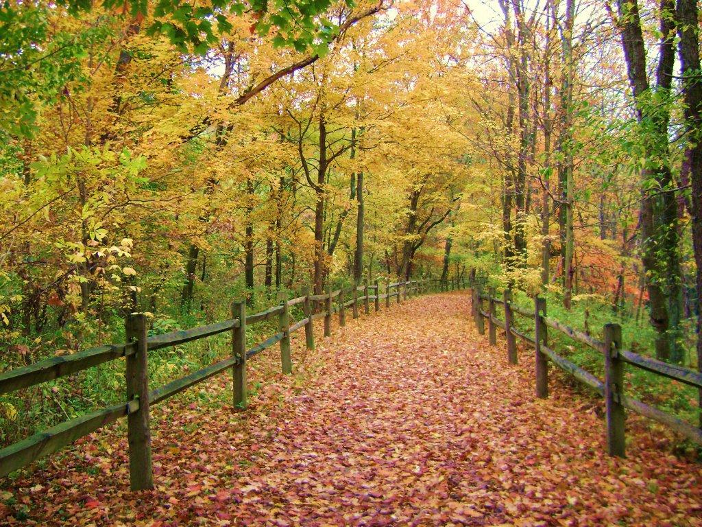 Indian Creek Valley Trail Opens in new window