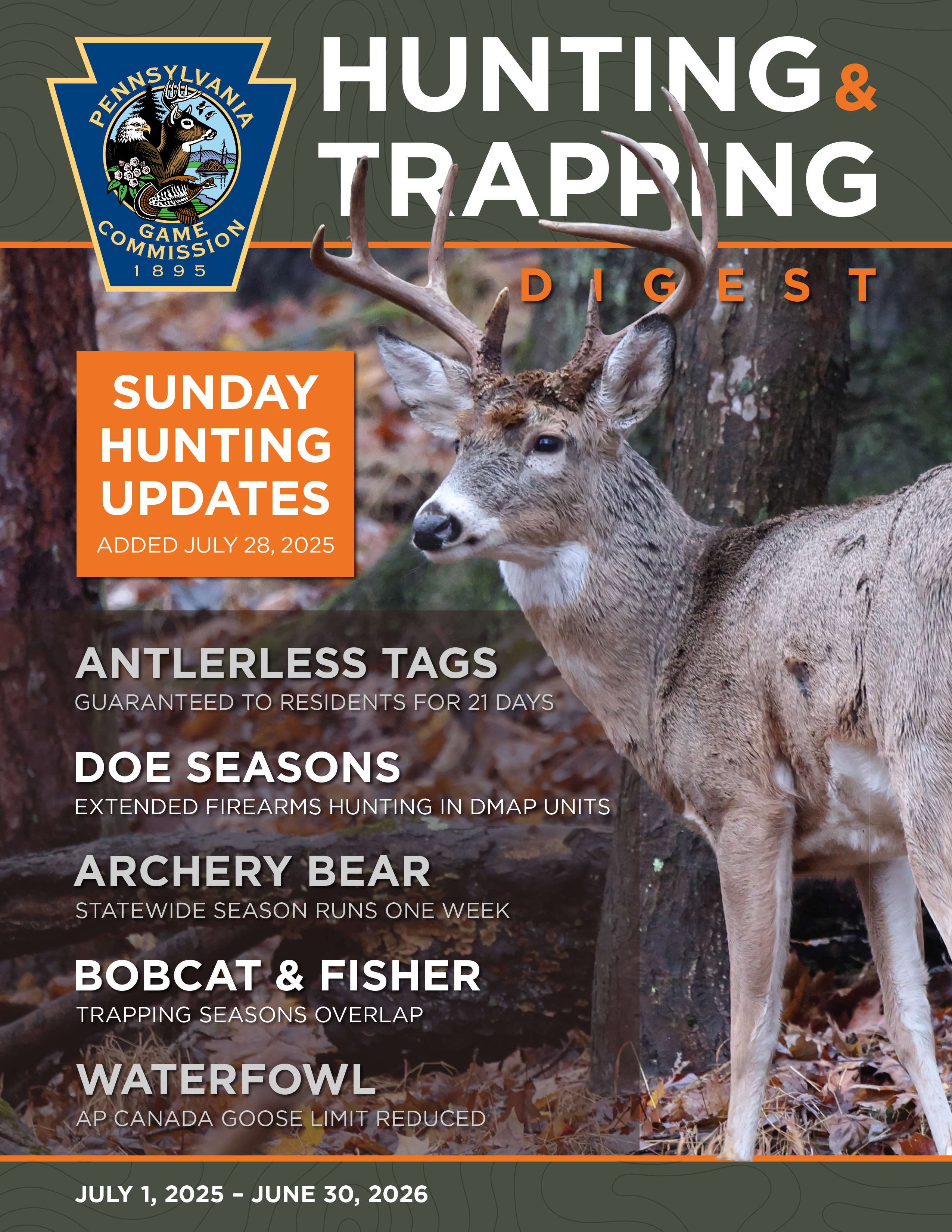 ff6dc50b99ca81aa048ddc92fafe8ad9